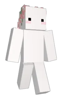 Front of Kkyuming's skin