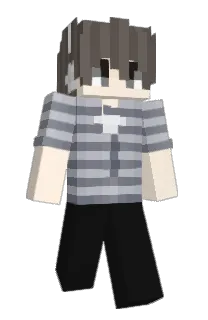 Front of disregular's skin