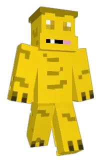 Front of chimboconestuche's skin