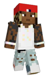 Skin preview