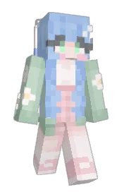 Skin preview