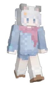 Skin preview
