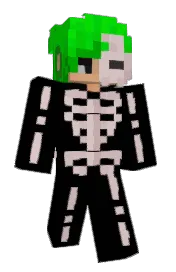 Skin preview