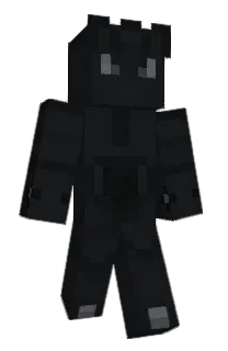 Front of 2v2s's skin