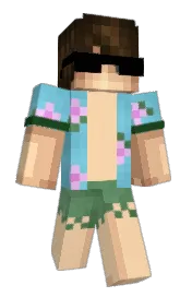Skin preview