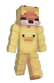 Front of Minecraft skin