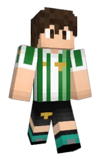 Front of pakoME's skin