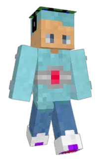 Front of mc506lw's skin