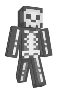 Front of Xeign's skin