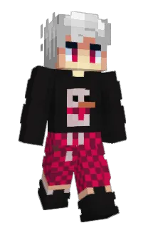 Front of soldic's skin