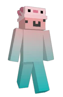 Front of ahitooo's skin