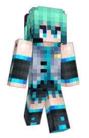 Skin preview