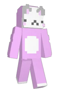Front of SumTheCat's skin