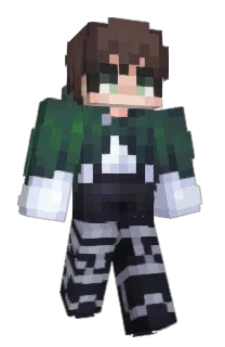 frankarol's Minecraft skin