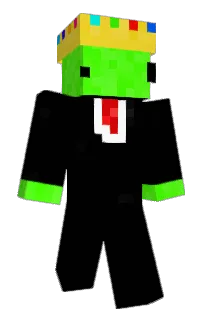 Front of jantist's skin
