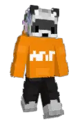 Raccoon_1242