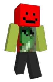 Skin preview