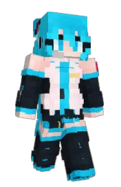 Skin preview
