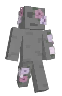 Front of Northernster's skin