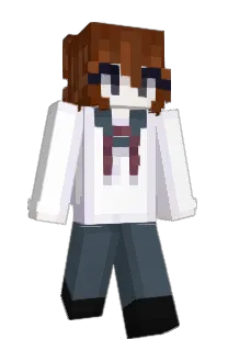 Front of Number1Mediator's skin