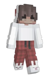 Front of lomsie's skin