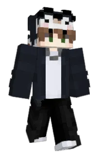 TenawkePlayz's Minecraft skin