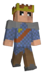 RincerOfWind's Minecraft skin wearing the Migrator cape