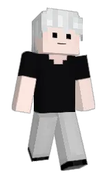 gotaewon's Minecraft skin wearing the Migrator cape