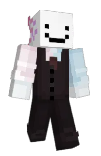 Front of _Axolotis's skin