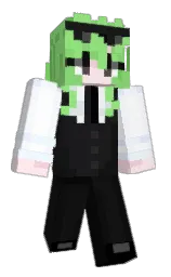 cod gray and pastel green Minecraft skin — Classic model