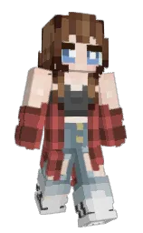 Minecraft skin — Classic model