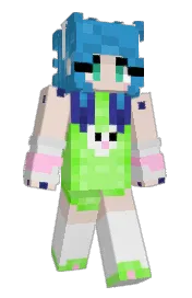 Skin preview