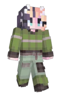 Front of KrisShwimpy's skin