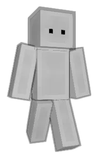 Front of cohigt's skin