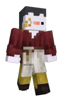 Front of PinguimArmado's skin