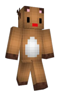 Front of Minecraft skin