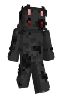 Front of Nauczyciel36's skin
