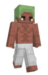 Front of phmyc's skin