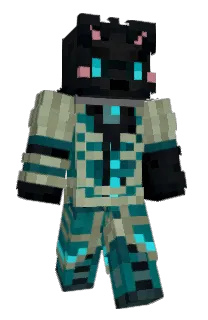 Front of DarkConn0r's skin