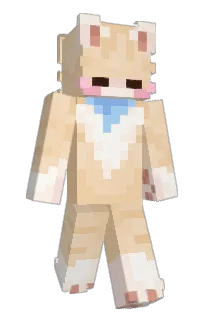 Front of caco09's skin