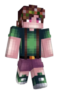 Front of Minecraft skin
