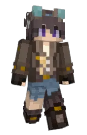 Skin preview
