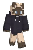 tim_bt