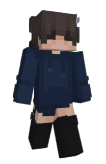 Front of npaliom's skin