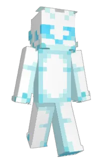Front of Successee's skin