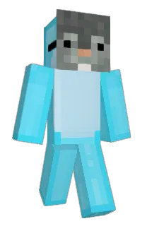Front of 0Norbert's skin