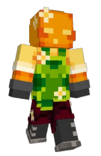 Front of Minecraft skin