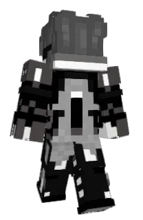 Front of Pobenix's skin
