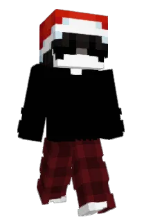 Front of DontAnything's skin