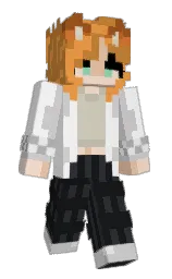 concrete and woodsmoke Minecraft skin — Slim model